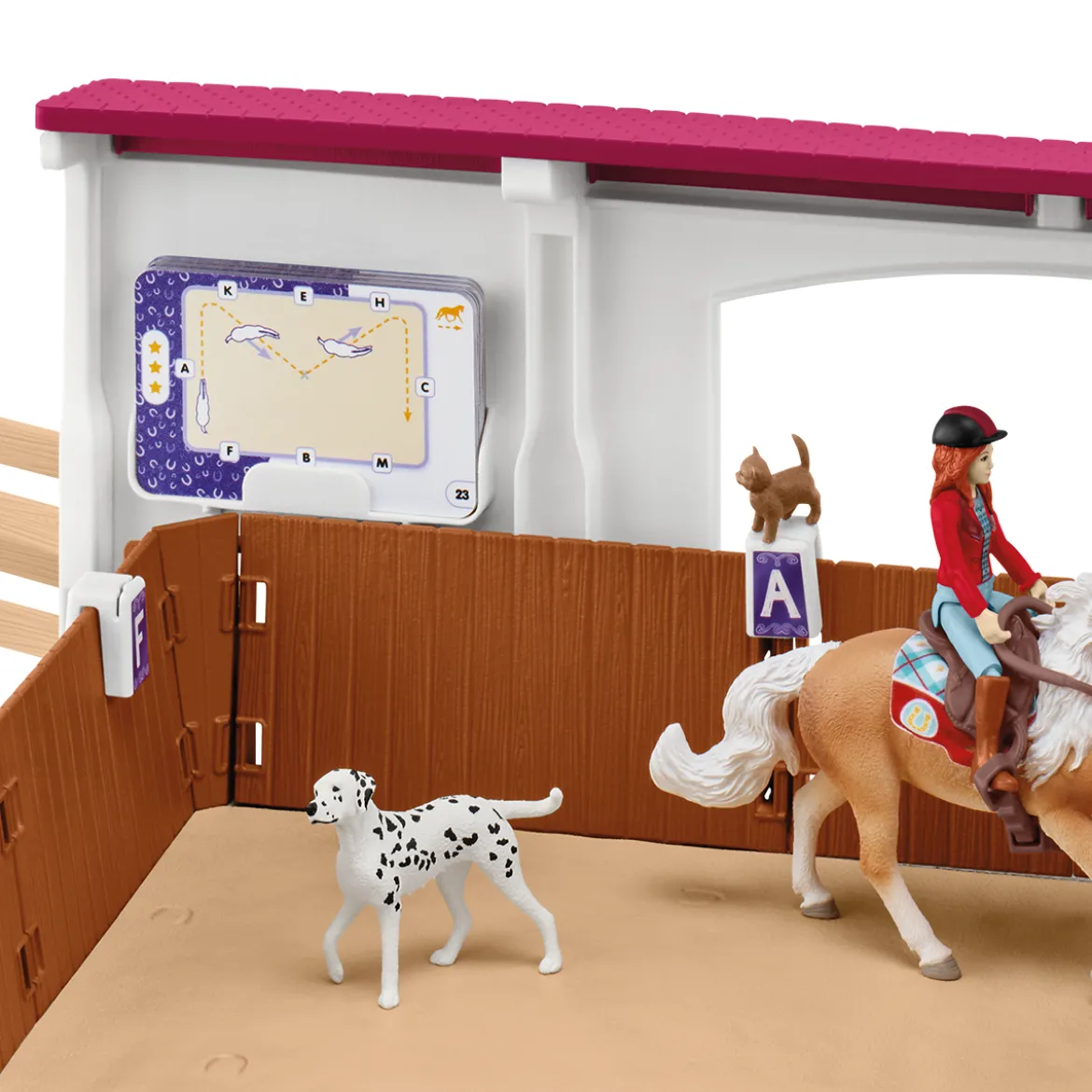 Grand Manège Equestre