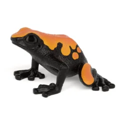 Grenouille Dendrobate (bundle)