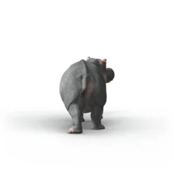 Hippopotame