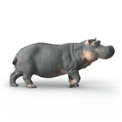 Hippopotame