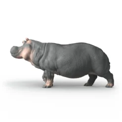 Hippopotame
