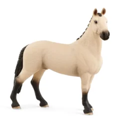 Hongre hanovrien aubère