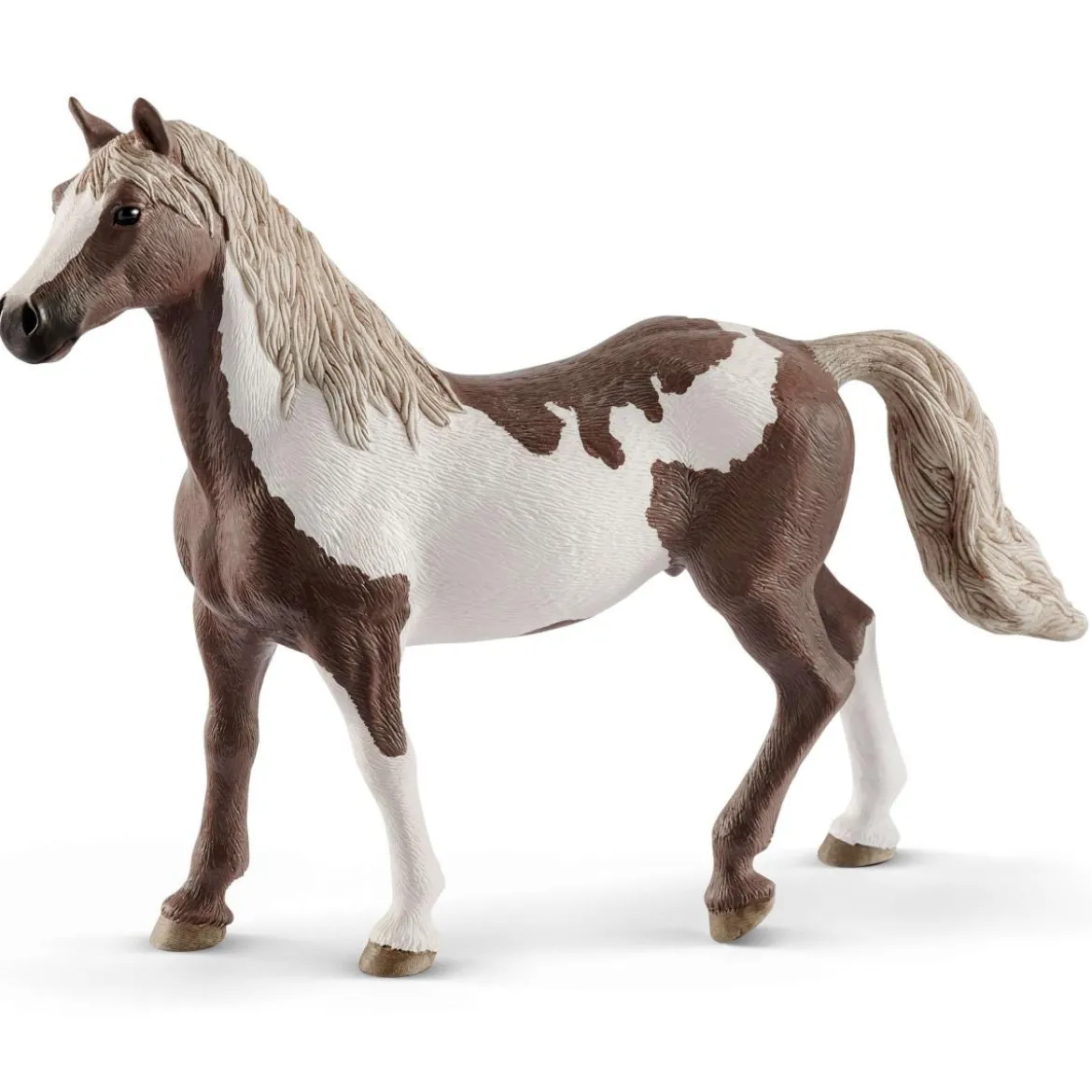 Hongre Paint Horse