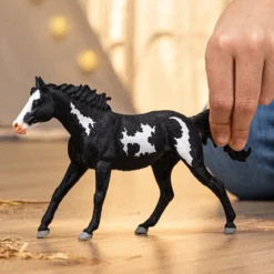 Hongre Paint Horse