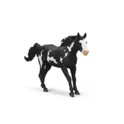 Hongre Paint Horse