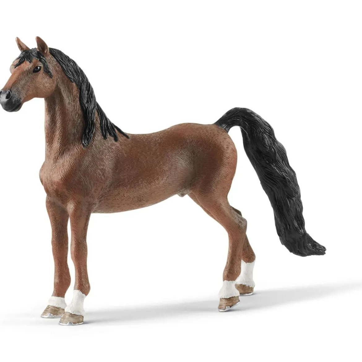 Hongre Saddlebred