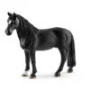 Hongre Tennessee Walker