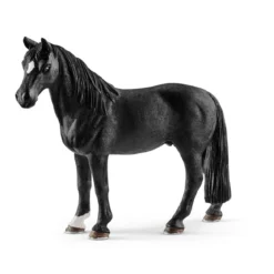 Hongre Tennessee Walker