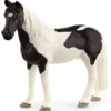 Hongre Tennessee Walker