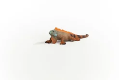 Iguane