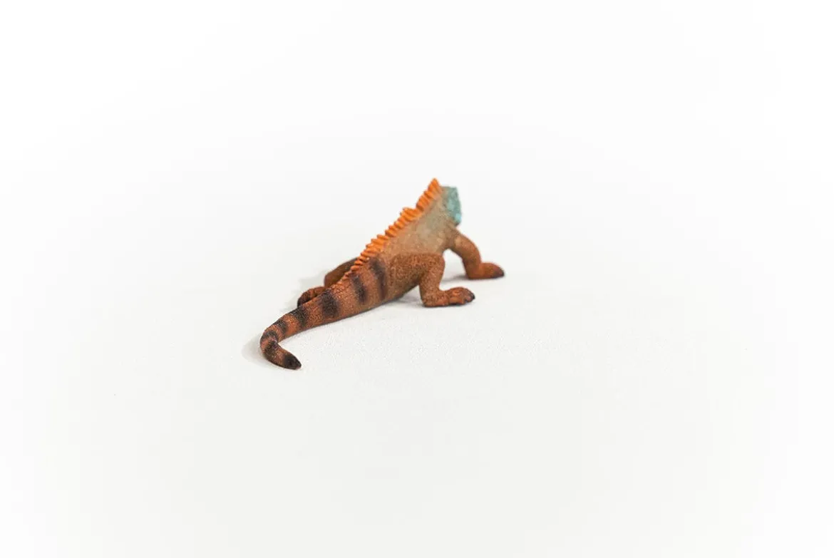 Iguane