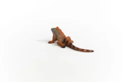 Iguane