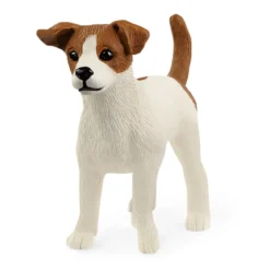 Jack Russell terrier