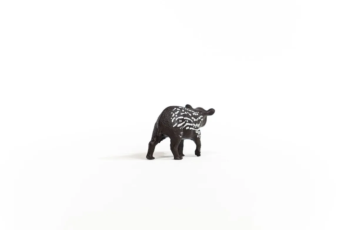 Jeune tapir