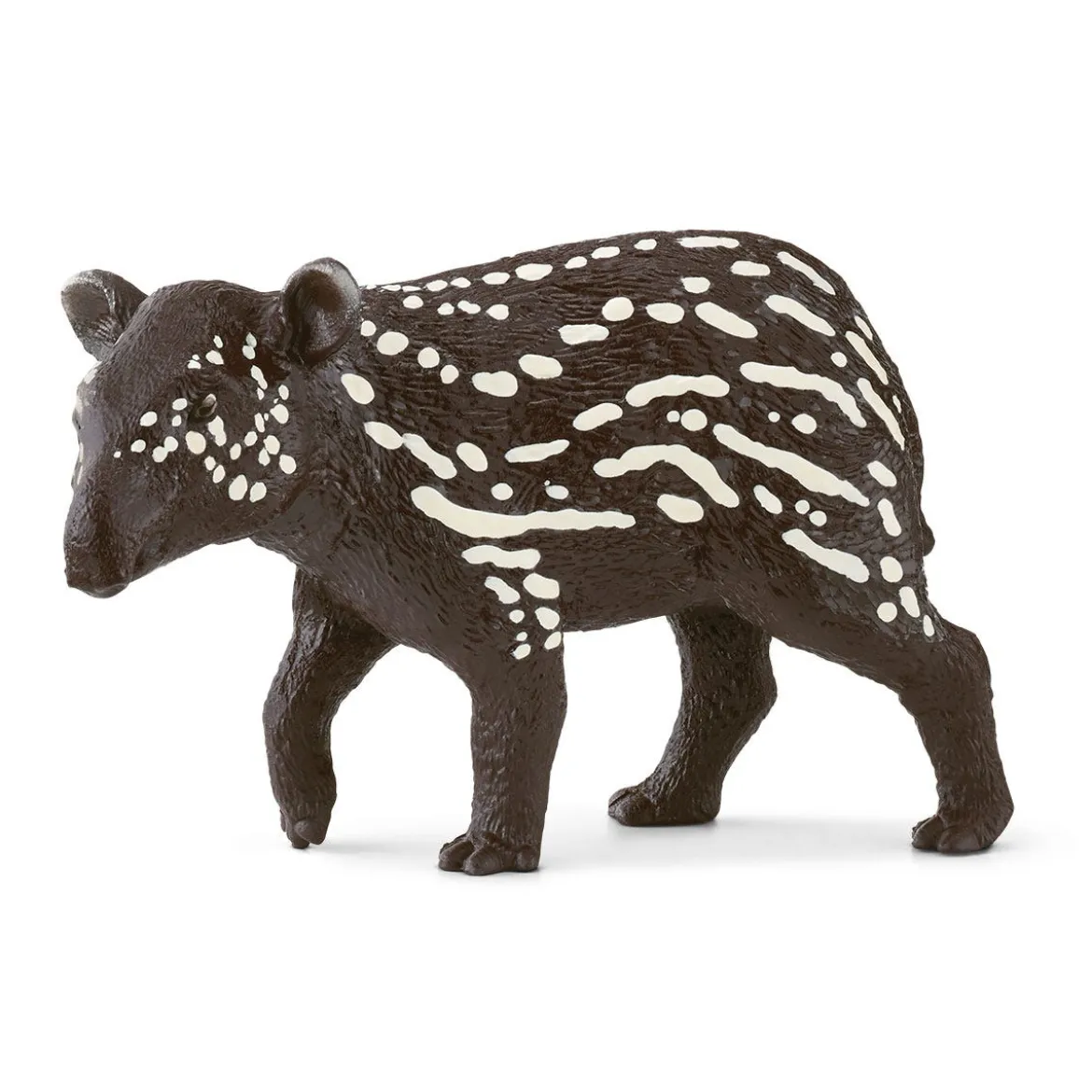 Jeune tapir