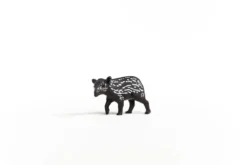 Jeune tapir