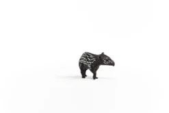 Jeune tapir
