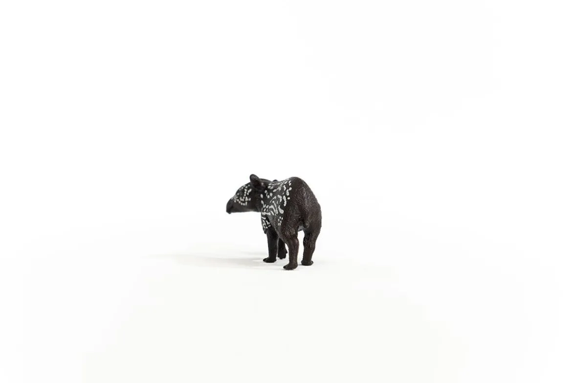 Jeune tapir