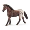 Jument Appaloosa