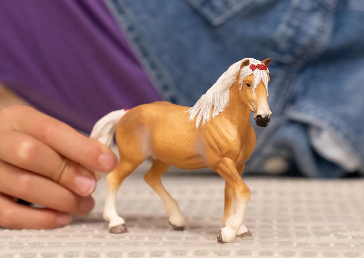 Jument Haflinger