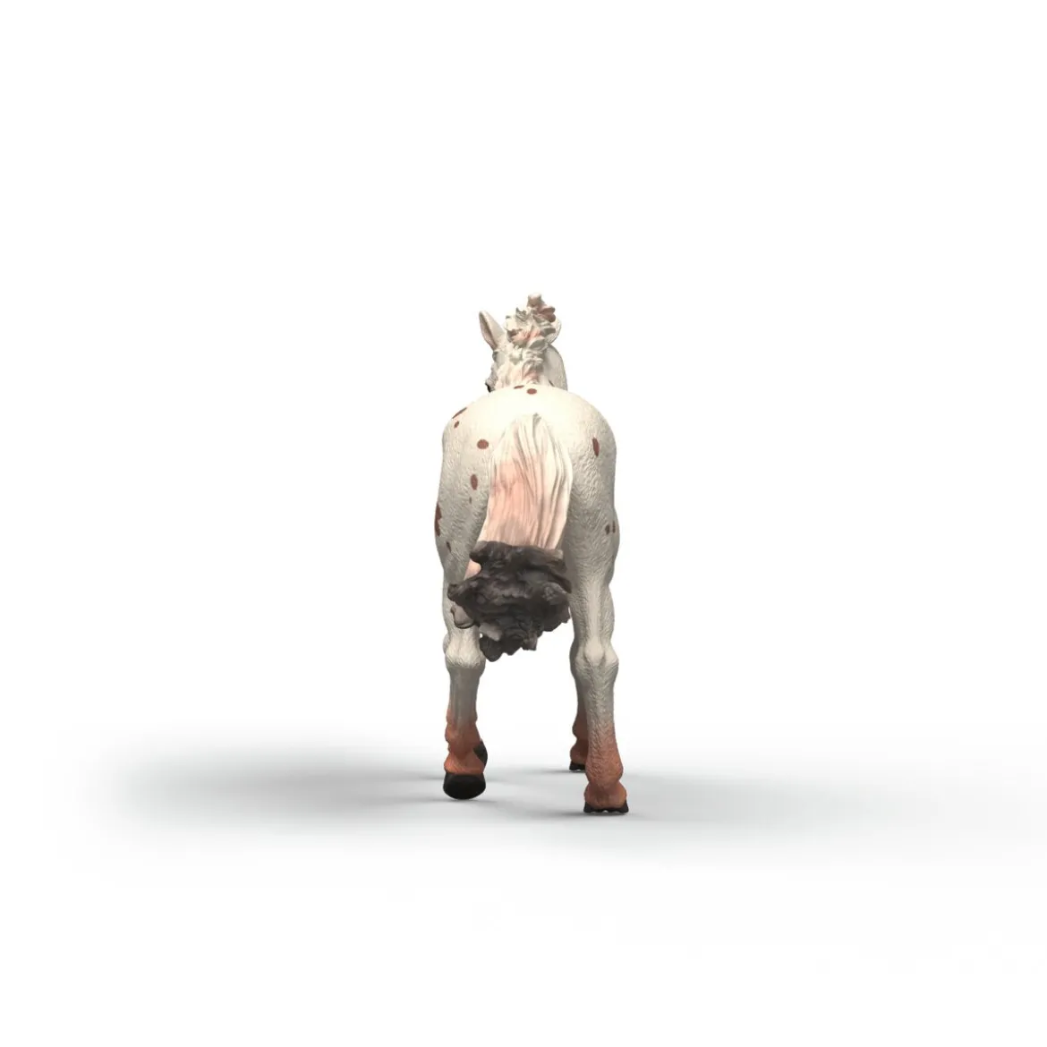 Jument Knabstrupper
