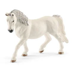 Jument Lipizzan