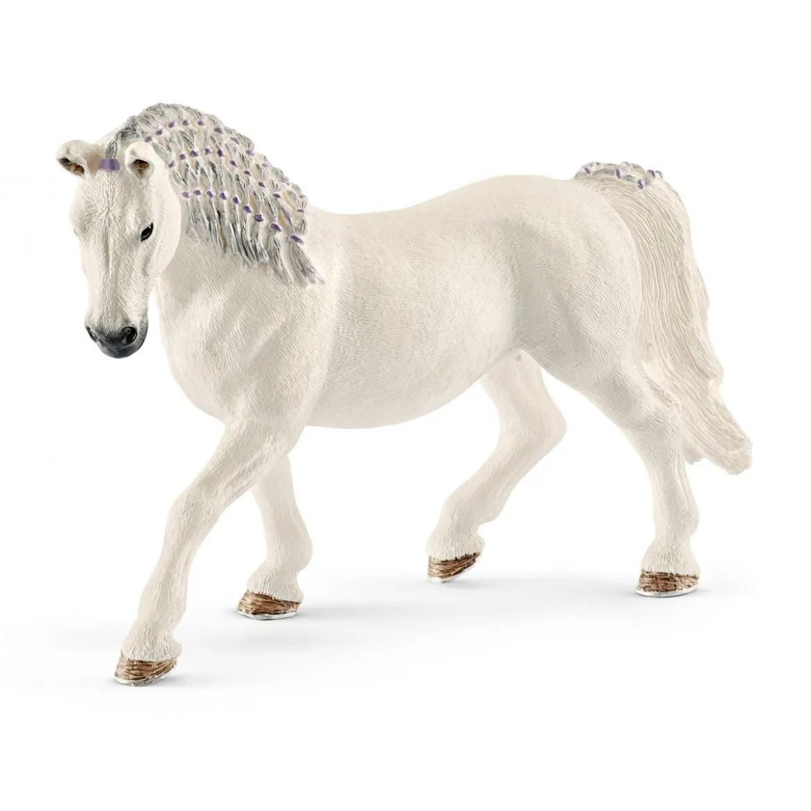Jument Lipizzan