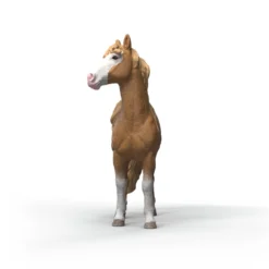 Jument Mustang