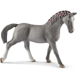 Jument Trakehnen
