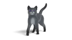 Karajan le chat