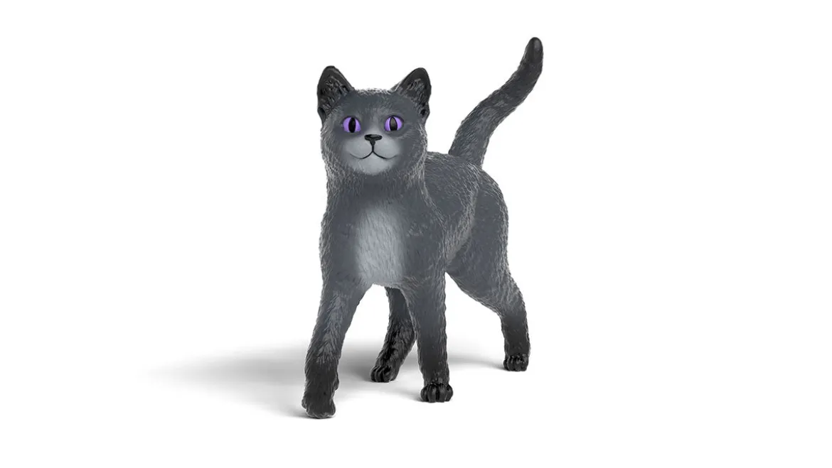 Karajan le chat