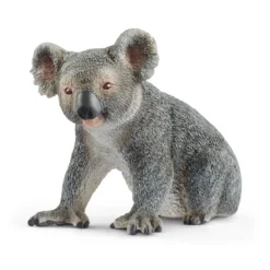 Koala (Bundle)