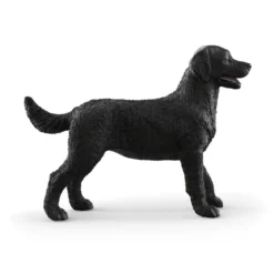 Labrador Retriever femelle noir