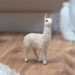 Lama