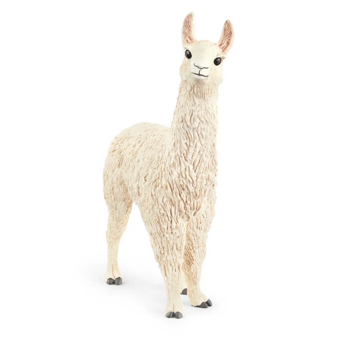 Lama (Bundle)