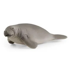 Lamantin
