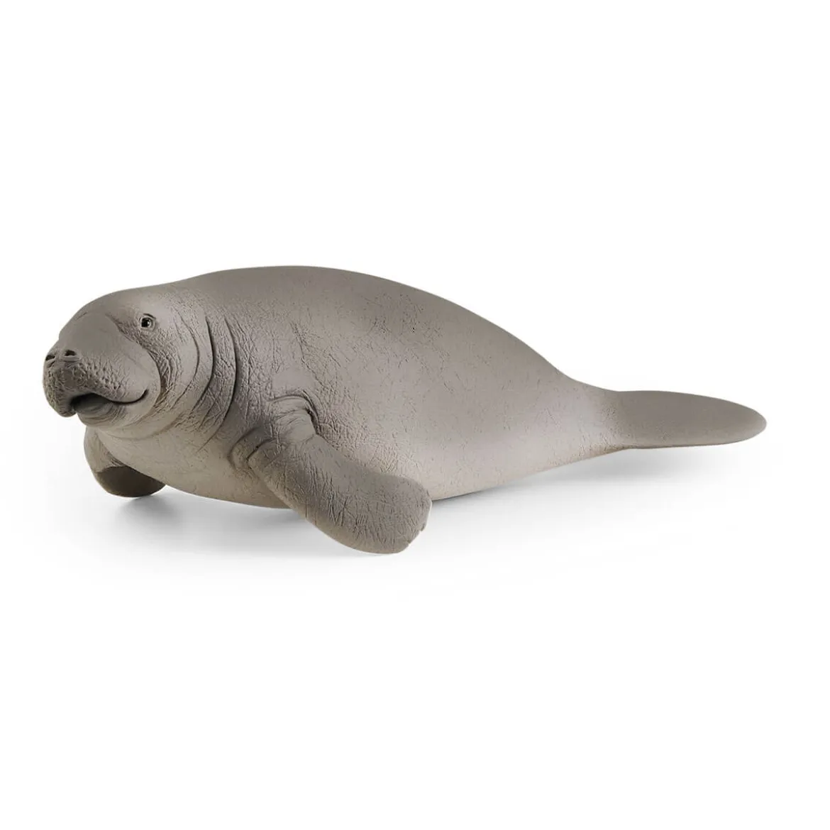 Lamantin
