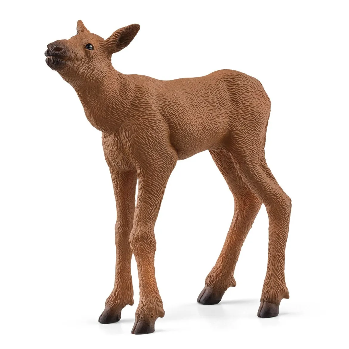 Élan Femelle avec Veau