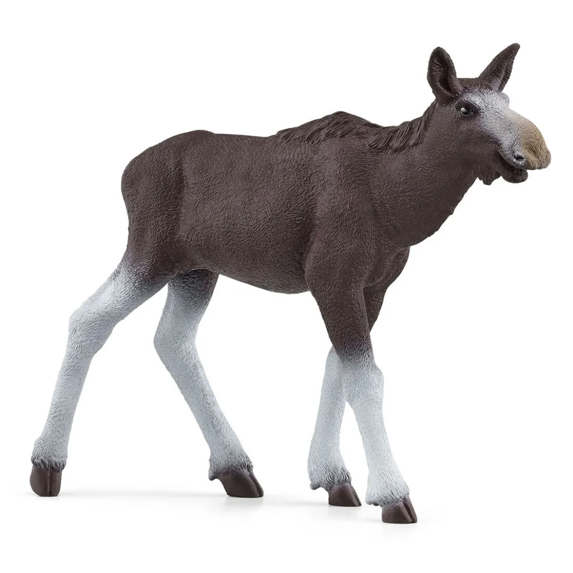 Élan Femelle avec Veau