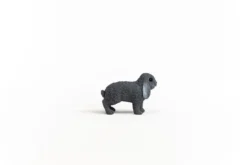 Lapin bélier