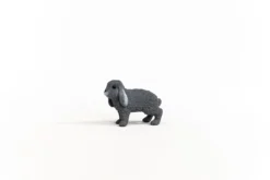 Lapin bélier