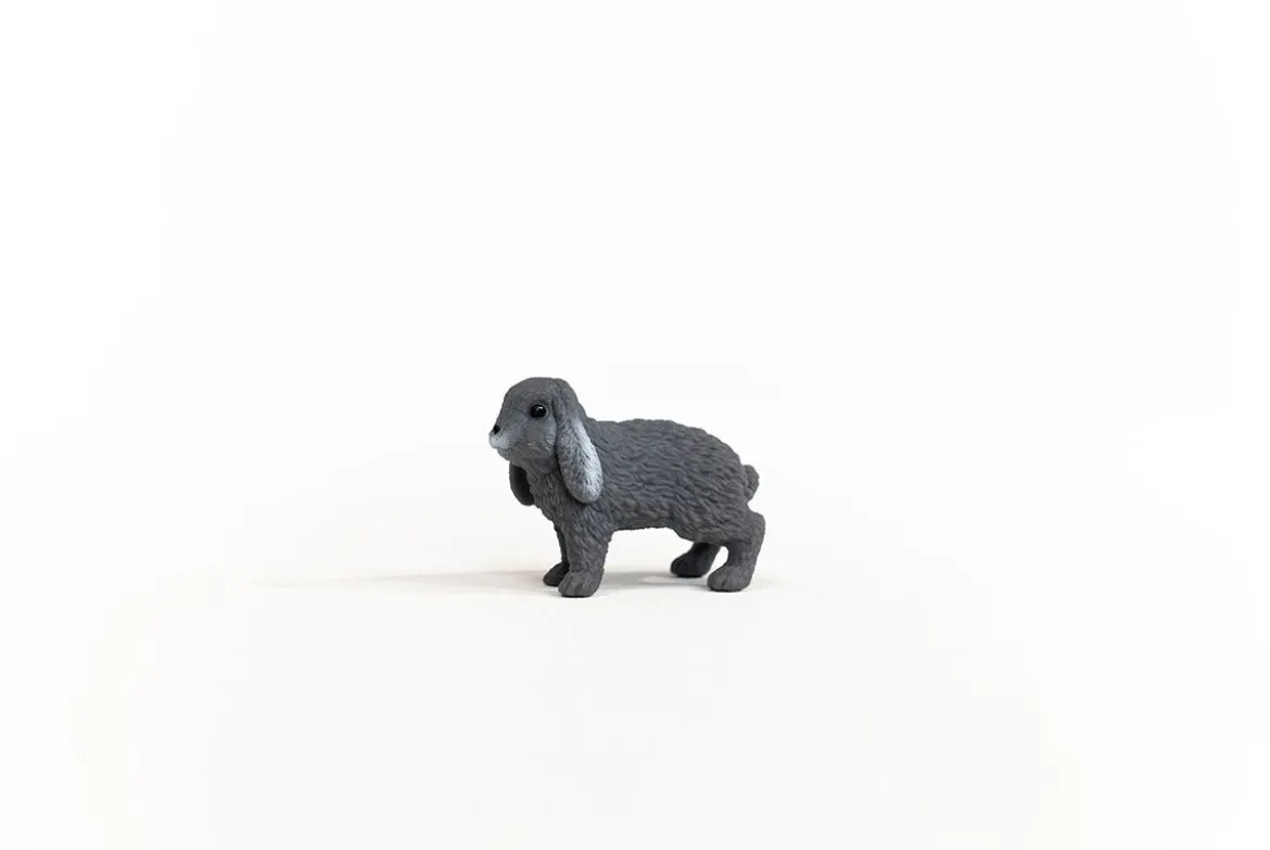Lapin bélier