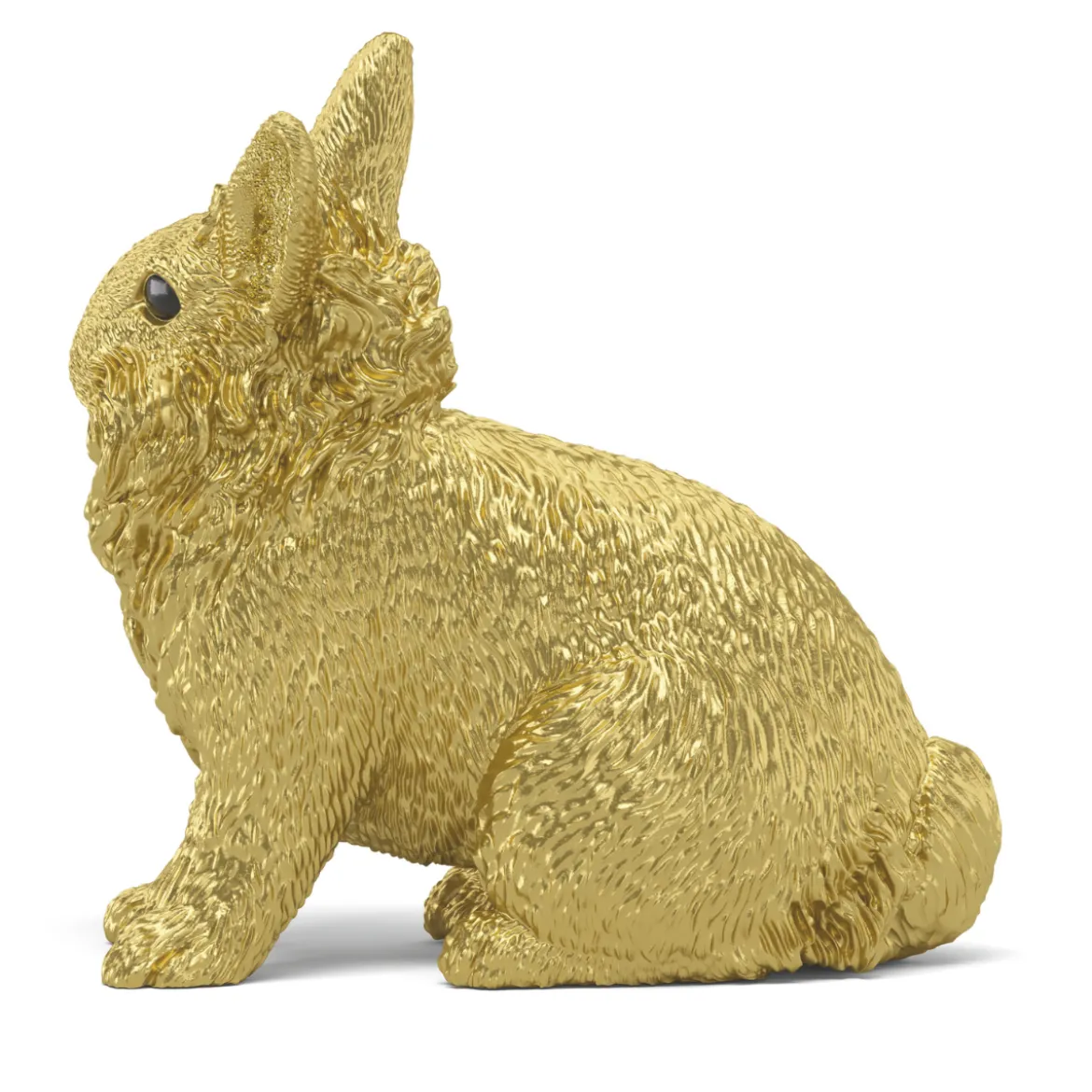 Lapin doré