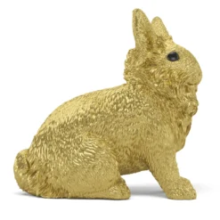 Lapin doré