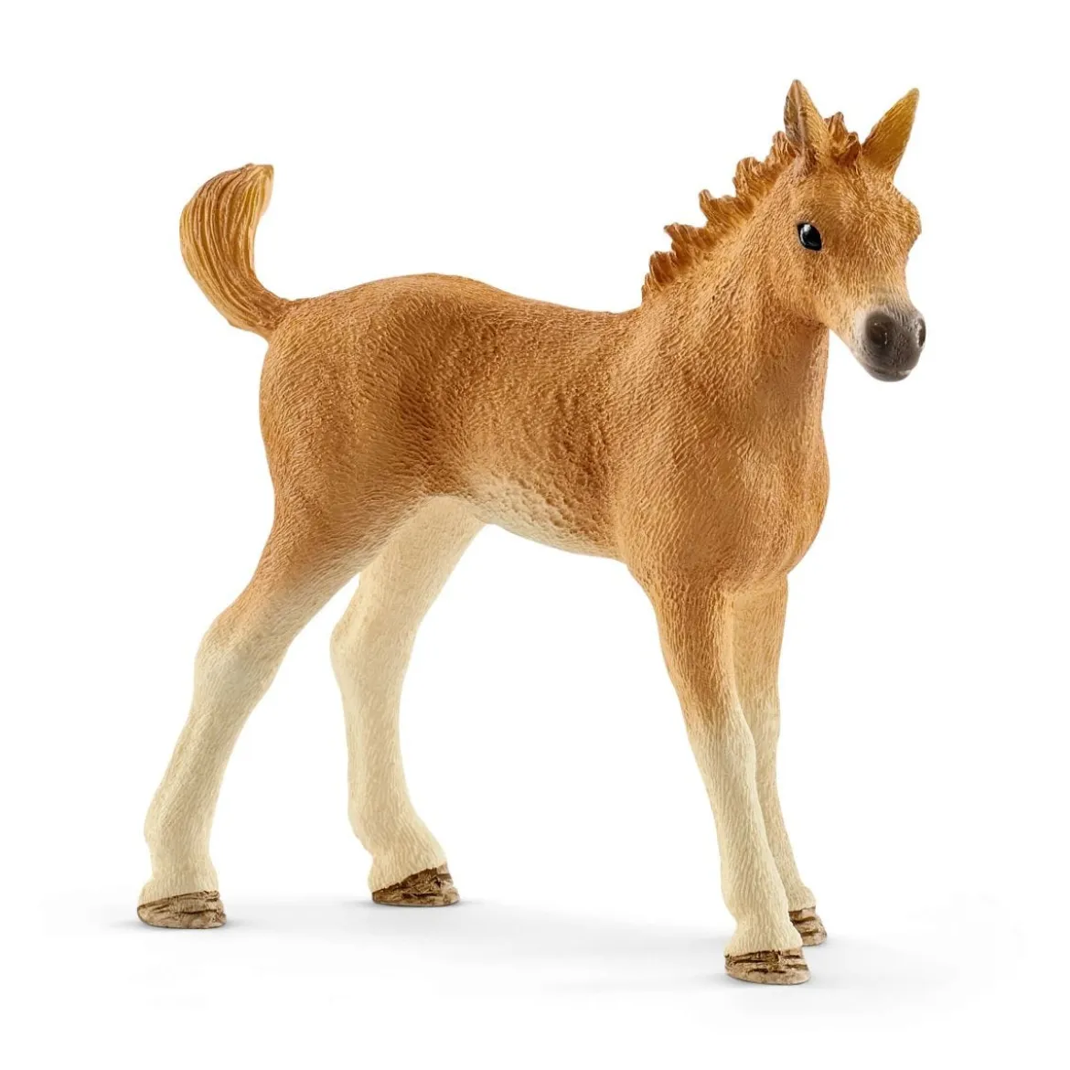 Les soins pour bébé animaux d'Horse Club Sarah