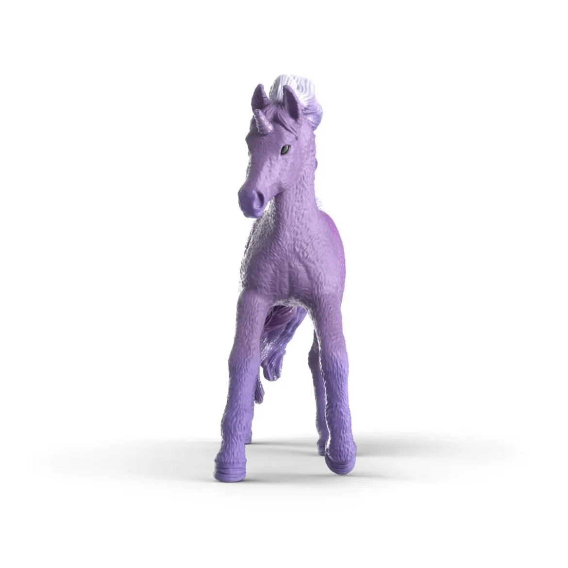 Licorne arc-en-ciel Galaxy, poulain