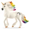 Licorne arc-en-ciel, mâle