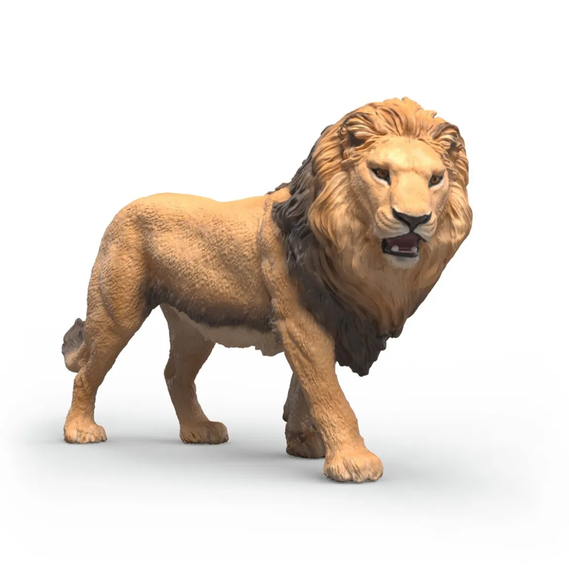 Lion d'Afrique
