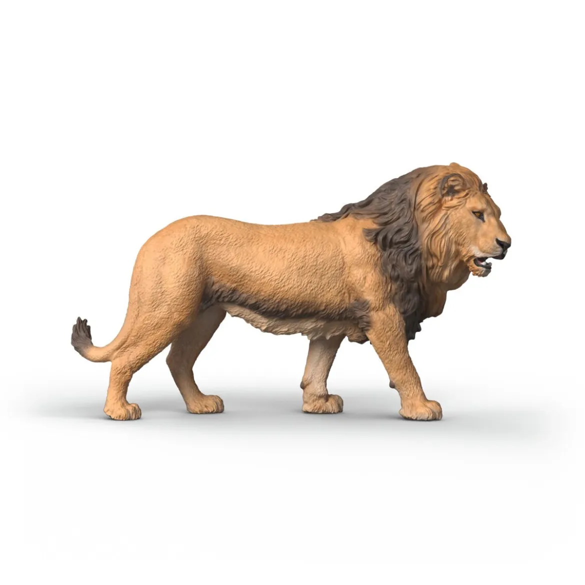 Lion d'Afrique
