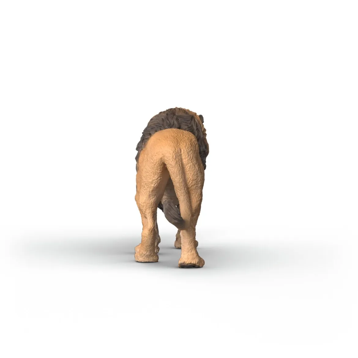 Lion d'Afrique